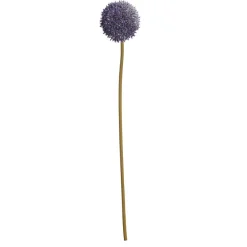 Kwantum Bloem Allium Paars