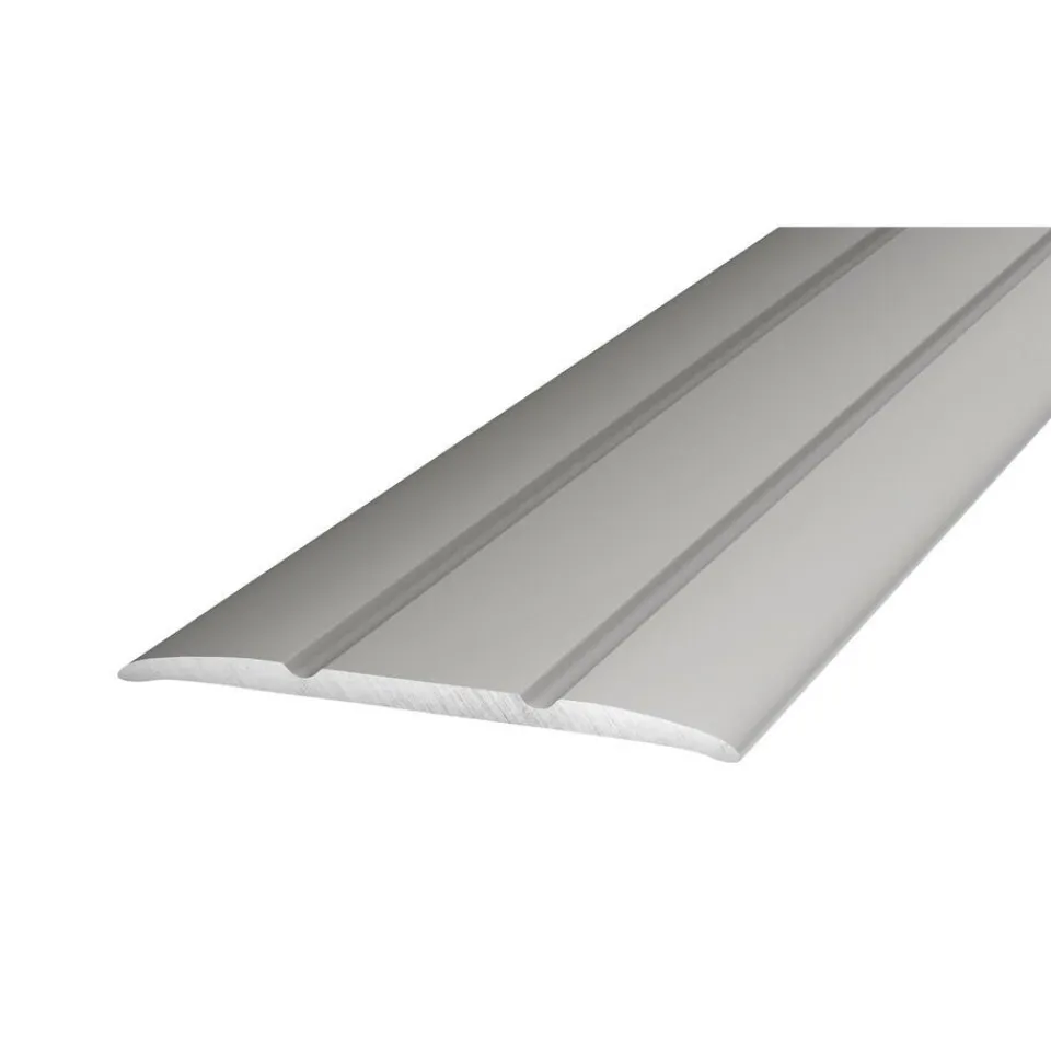 Kwantum Dilatatieprofiel Staal Rvs 100 Cm