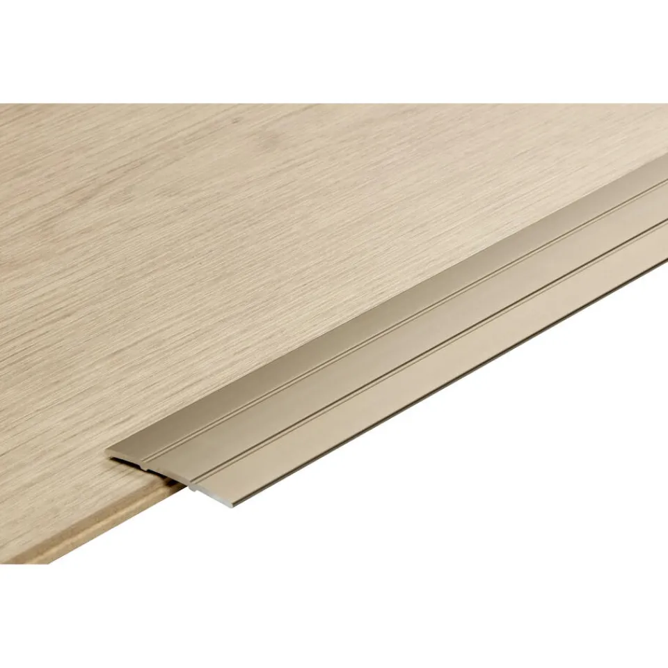 Kwantum Dilatatieprofiel Staal Rvs 100 Cm