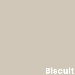 Kwantum Muurverf Professional Biscuit 1 L